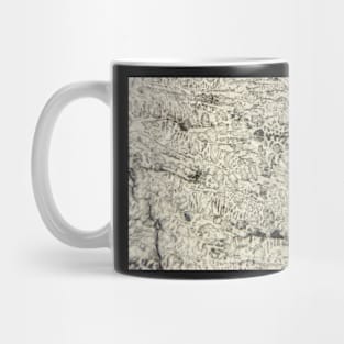 Microstructure of white cast iron Mug